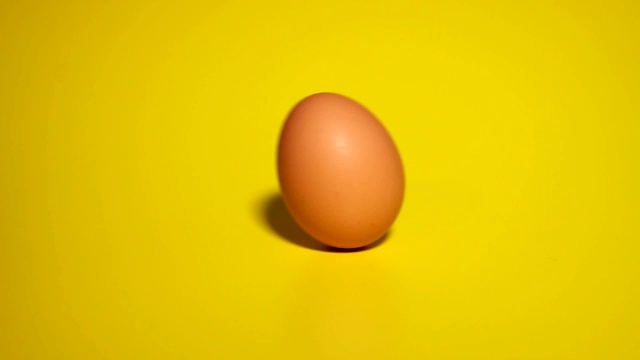 鸡蛋在黄色的背景上滚动。文本。视频下载