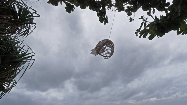 热带风暴风吹灯笼和树木天空背景复制空间视频素材