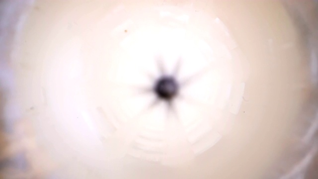 白色灯泡里面的黑点的样子视频素材