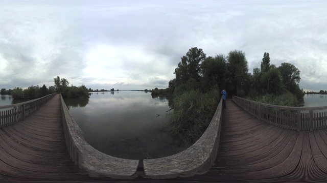 360VR，木桥鸟岛，体验自然视频购买