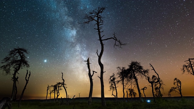 银河是一片长满枯树的沼泽视频素材