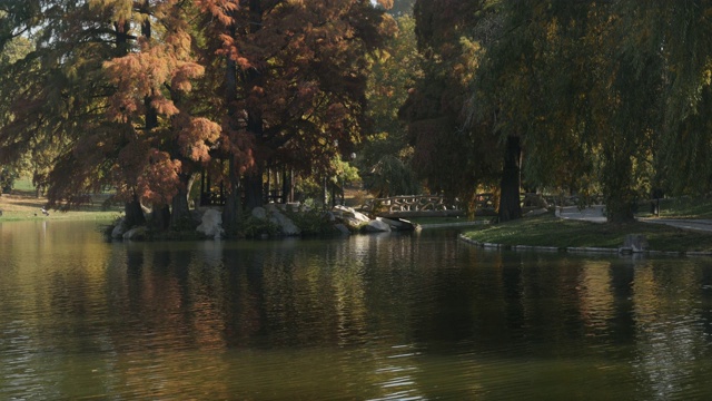 自然色彩在罗马尼亚城市克雷奥瓦的镜头视频下载