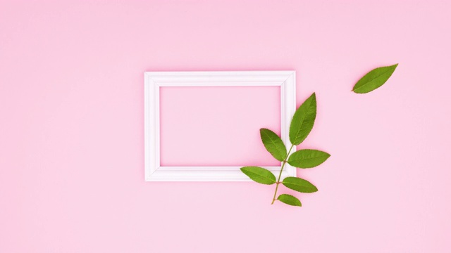 白色的框架出现在粉红色的主题和绿色的树叶落在框架旁边的文字。停止运动视频下载