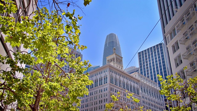旧金山金融区的轮廓线视频素材