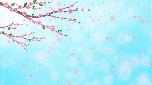 粉色樱花动画视频下载