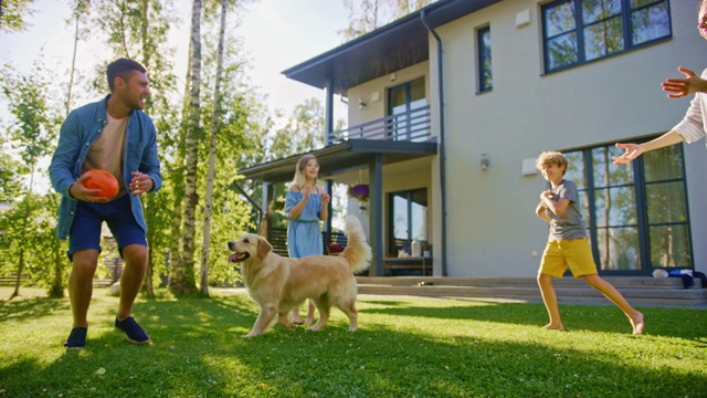 美麗的四口之家在后院草坪上和快樂的金毛獵犬玩接球。田園詩般的家庭有樂趣與忠誠的純種狗在戶外夏天的房子后院。手持多莉拍攝視頻素材