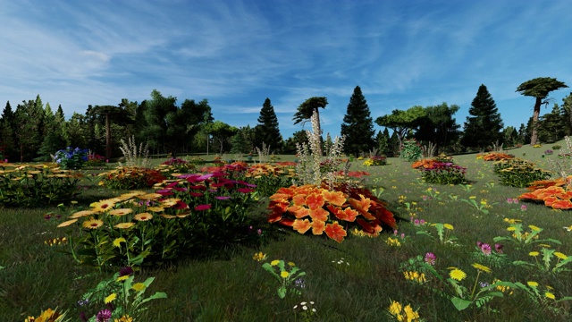 美丽的花园，有花，猴面包树和棕榈树视频下载