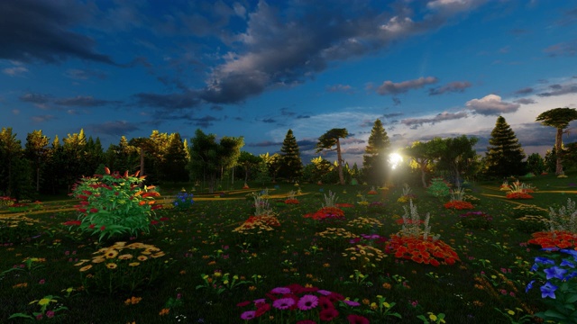美丽的花园，鲜花，猴面包树和棕榈树在日落时间视频下载