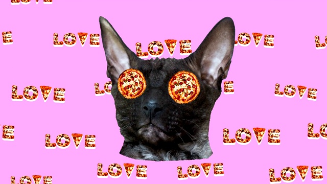 最小动画快餐艺术。搞笑猫披萨爱好者视频下载