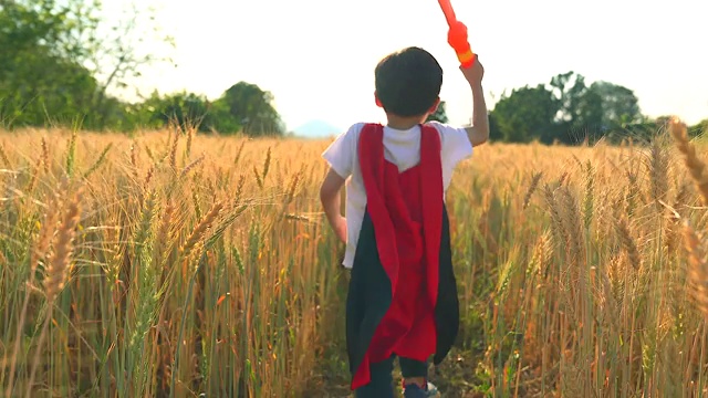 一个穿着红袍子拿着玩具剑的男孩在麦田里奔跑他用他的想象力把他想象成一个骑士。在麦田里自由奔跑。视频素材