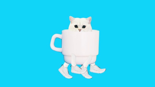 动画的时尚艺术。咖啡杯里有趣的猫角色视频下载