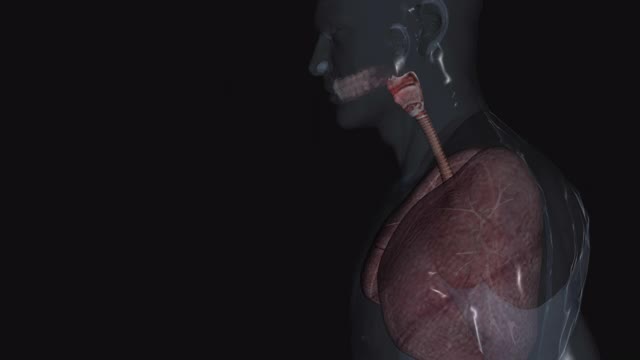 肺部感染视频素材