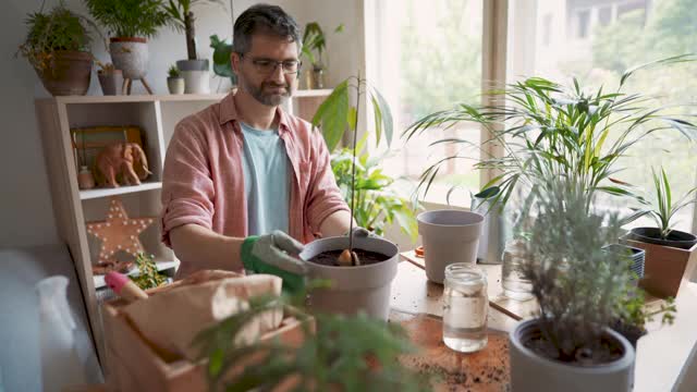 快乐的男性植物学家移植植物视频素材