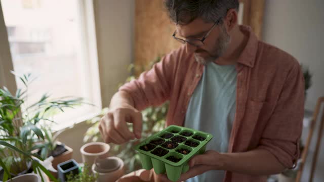 成熟的男人在种植他的室内花园视频素材