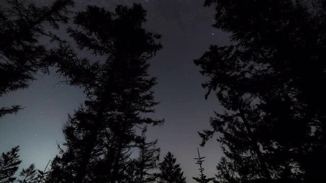 韩国江原道的夜空和森林/仁人枪视频素材