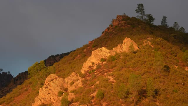 Talus峰和灰松，日出光在西部高峰，右至左潘，尖峰国家公园，圣贝尼托县，加利福尼亚州，4K视频。视频素材