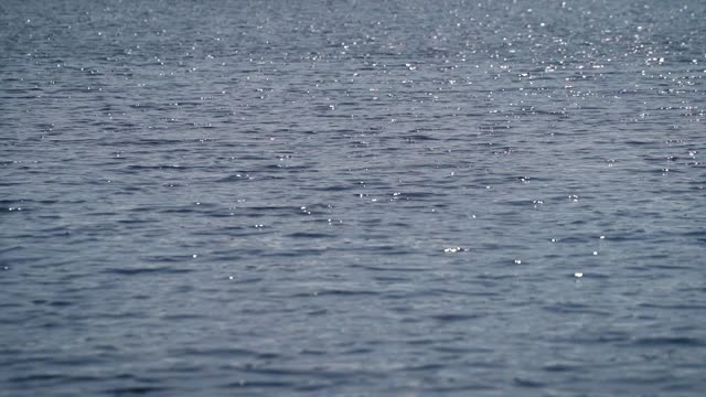 湛蓝的水面荡漾着涟漪，阳光在阳光明媚的湖面上缓缓闪烁视频素材