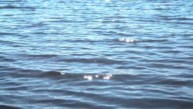 碧蓝的水面荡漾着涟漪，阳光普照湖面视频素材