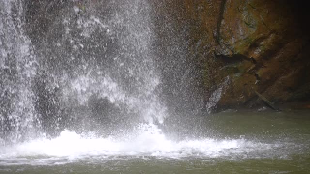 SLO MO瀑布在绿色的森林视频素材