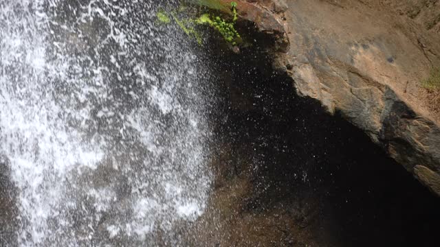 SLO MO瀑布在绿色的森林视频素材