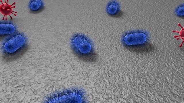 三维动画微世界(放大致病性微生物和病毒)的表面。安全卫生理念。视频下载
