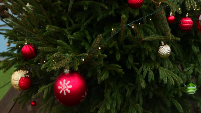 室外圣诞树视频下载