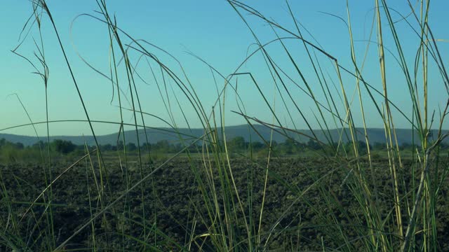印度自然环境视频剪辑视频素材