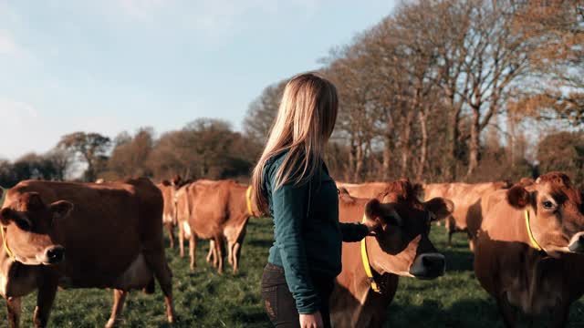 年轻女子和奶牛站在奶牛场视频素材