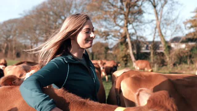 年轻女子和奶牛站在奶牛场视频下载