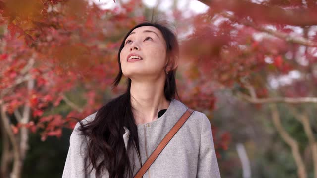 日本女人看日本枫树在秋天视频下载