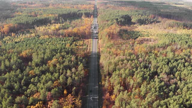 汽车和卡车在笔直快速的高速公路上穿越多彩的秋天森林。在秋天的季节，汽车道路被绿色、红色和黄色的树叶包围视频下载