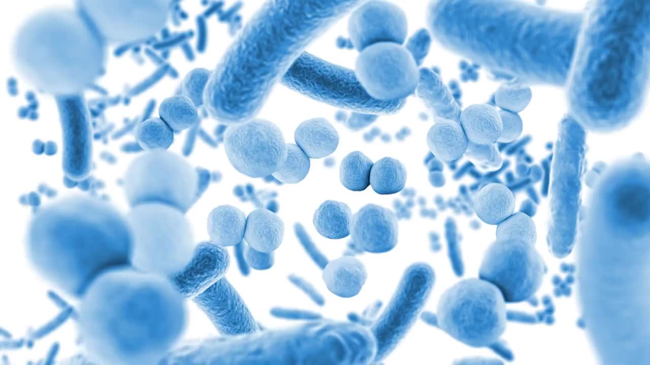 漂浮在蓝色微生物中的动画，健康的微生物群视频下载