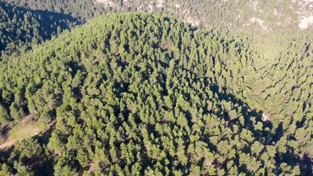 松树覆盖的山脉的航拍镜头视频素材