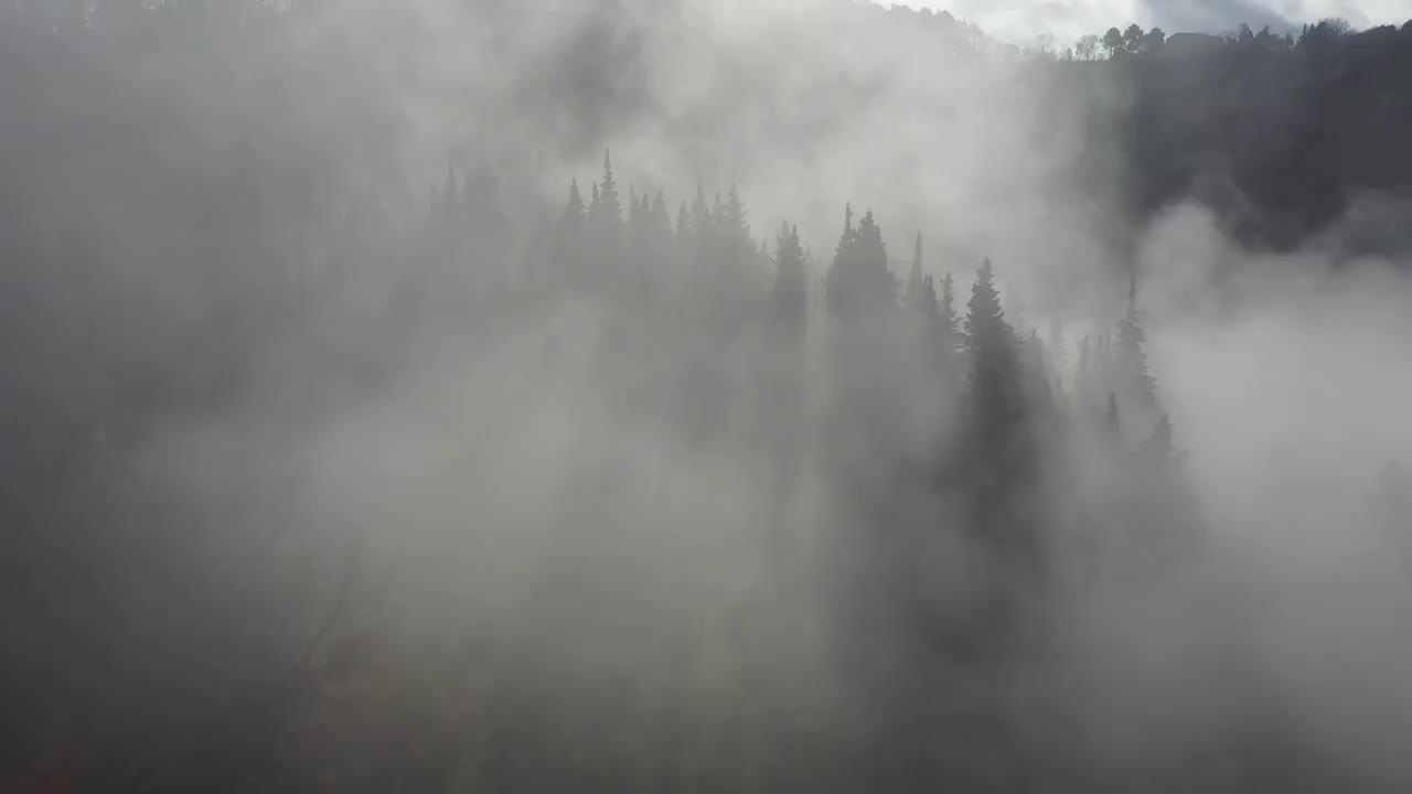 意大利鄉間林地上的霧視頻下載