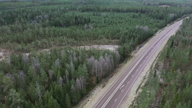 高速公路穿过瑞典的森林景观视频素材