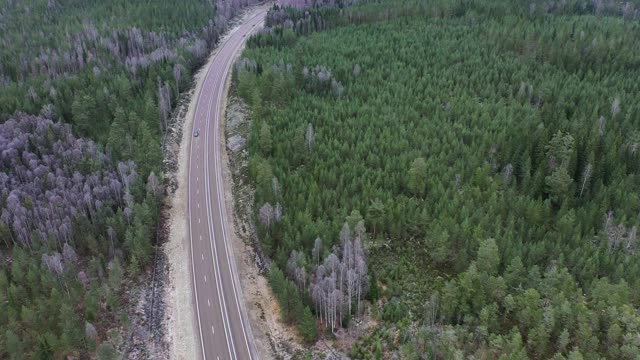 森林中高速公路的鸟瞰图视频素材
