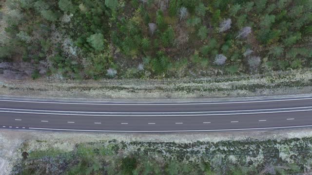 一条载着汽车穿过森林的公路视频素材