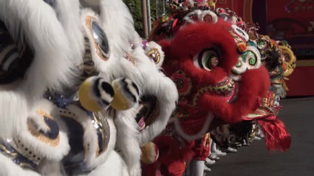 春节期间一群中国狮子表演。视频下载