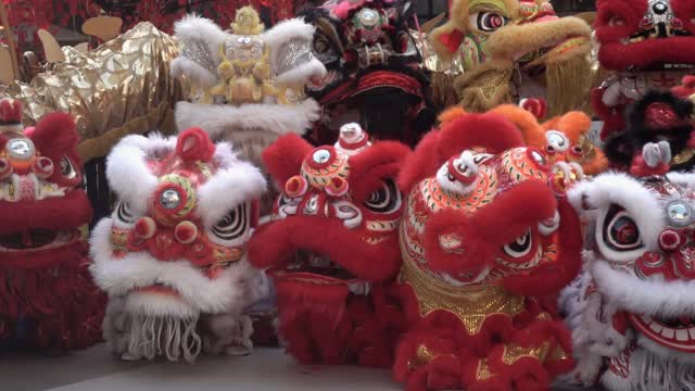 一群在节日期间表演的中国狮子。视频下载