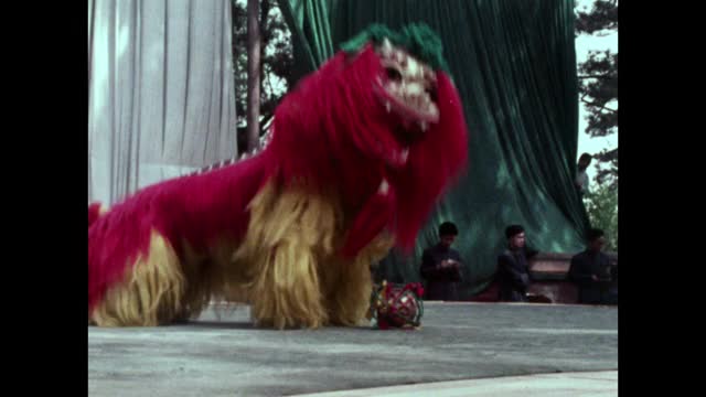 两只中国狮子在北京的舞台上一起表演;1973视频下载