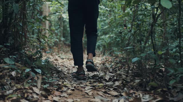 一名男性徒步者走在有干树叶的小路上的低段视频下载