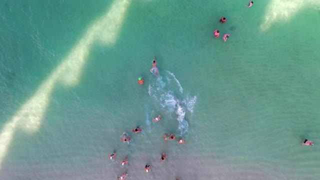 空中淘金和向下看一群游泳运动员被温暖的绿松石色的水和珊瑚包围在一个明亮的阳光下-瓦胡岛，夏威夷视频下载