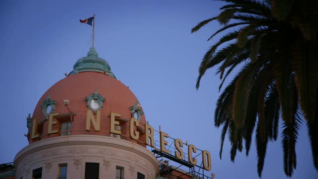 尼斯一家酒店的圆顶，在棕榈树后面视频素材