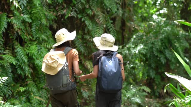 两个亚洲女游客去热带森林探险。视频下载