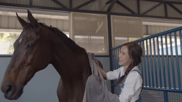 可爱的年轻亚洲女人照顾一匹棕色的马在马厩视频素材