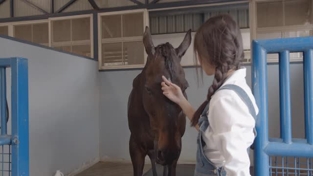 年轻的亚洲女牧场主在马厩里照顾一匹棕色的马视频素材