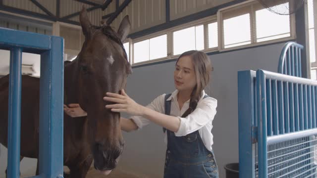 可爱的年轻亚洲女人抚摸和爱抚马视频素材