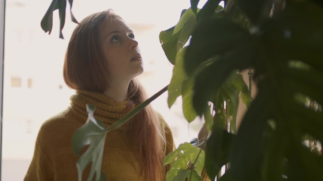 照料室内植物的年轻女子视频素材