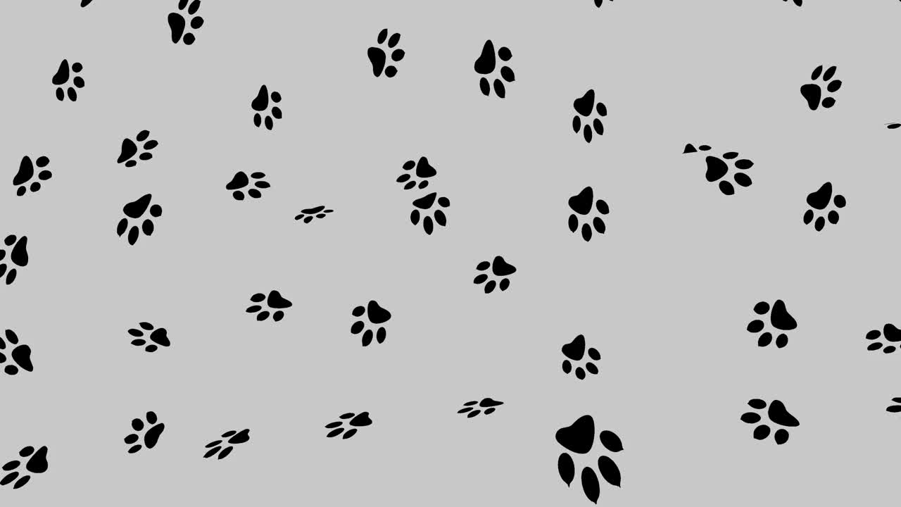 动物爪印在黑白动画织物上。视频素材