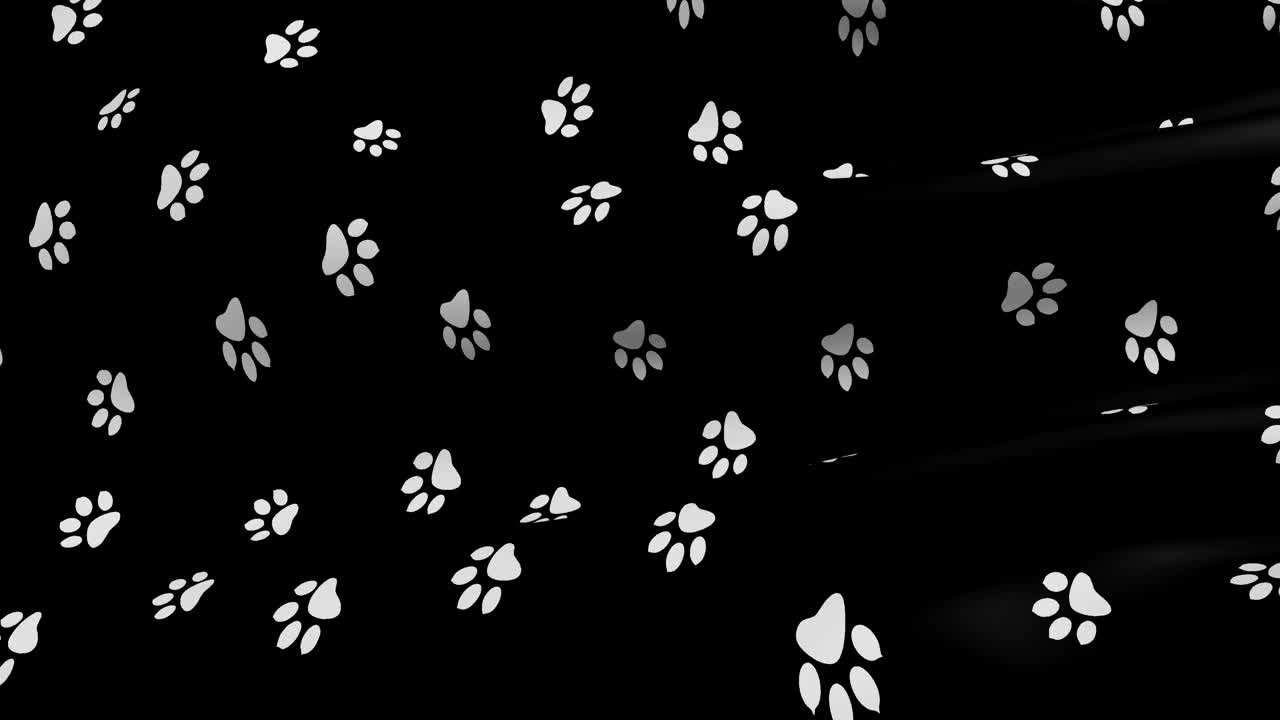 动物爪印在黑白动画织物上。视频素材